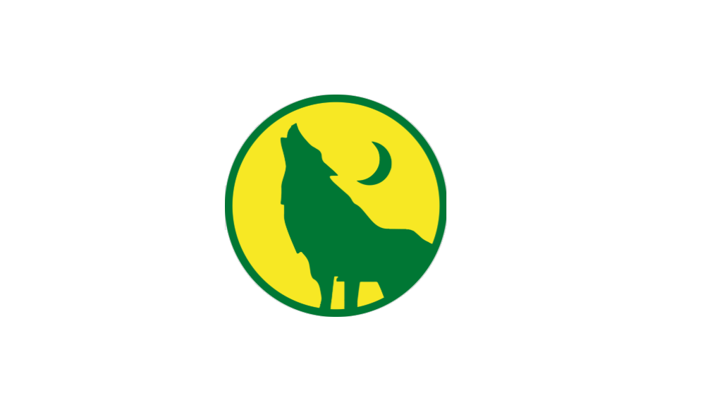 Wild Packs Summer Camps news thumbnail logo