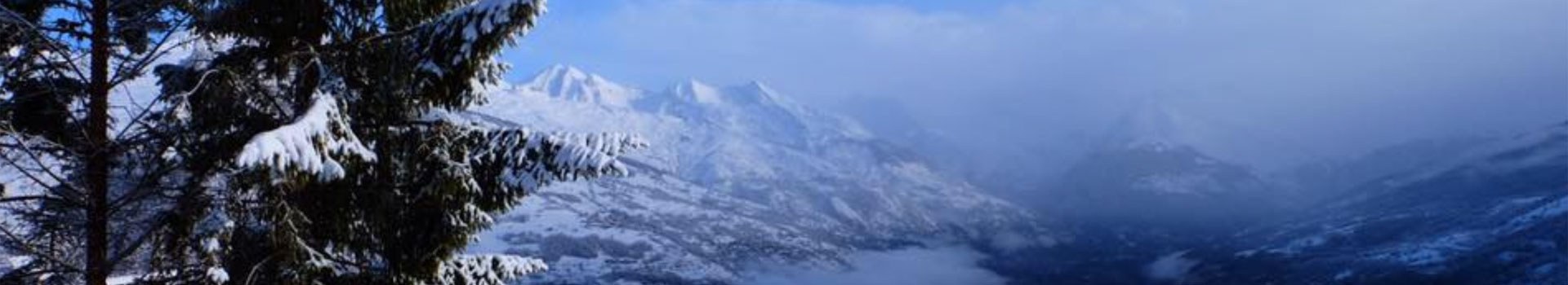 Icebreakers Profile Banner Image