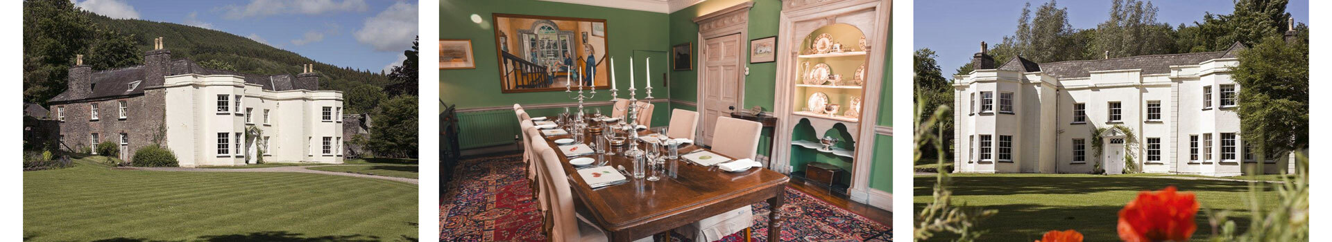 Tall Johns Banner