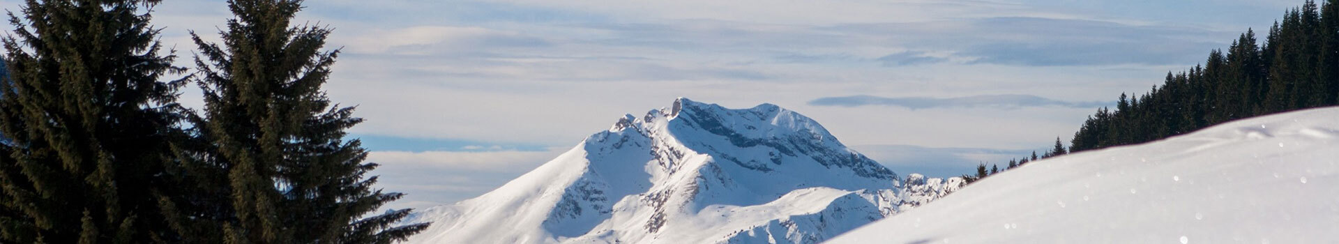 Theboutiquechaletcompany banner