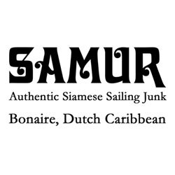 Samur Logo