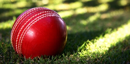 Cricket