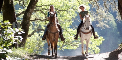 Equestrian