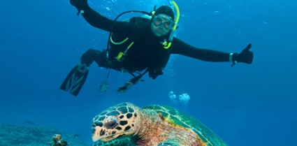 Diving
