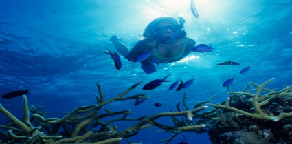 Diving